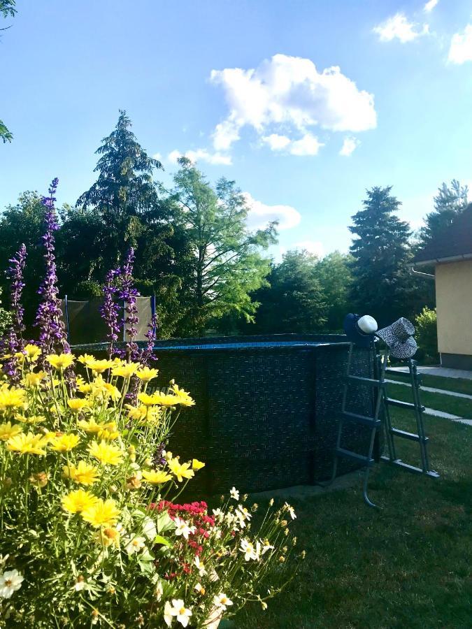Viharsarki Apartman Gyula Dış mekan fotoğraf